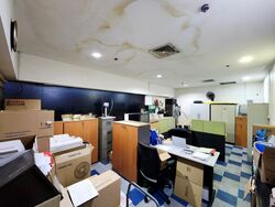 Balestier Point (D12), Shop House #520957791